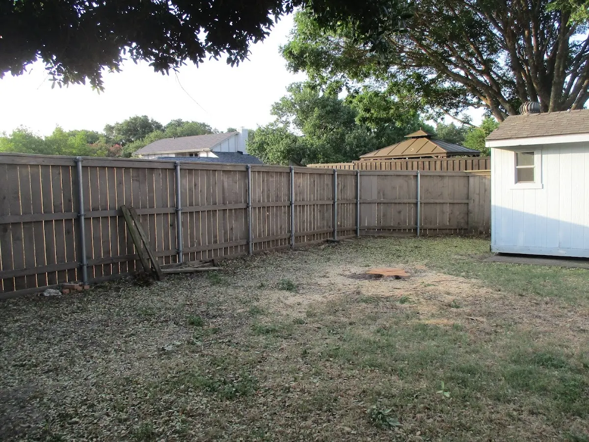 Cleared yard after professional tree removal in Sheakleyville